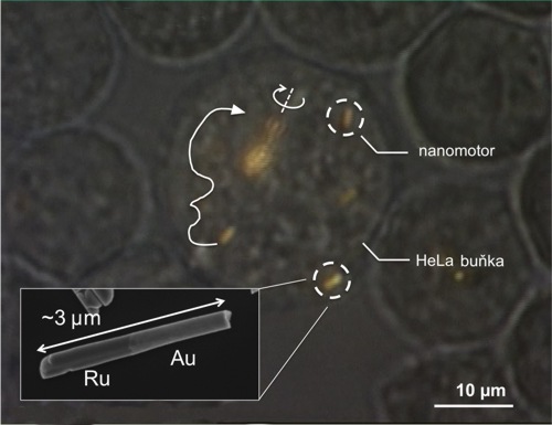 Řízení pohybu (budoucích) nanobotů pomocí ultrazvuku a magnetického pole