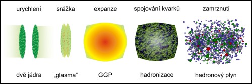 Jednotlivé fáze vzniku a rozpadu kvarkového-gluonového plaznmatu