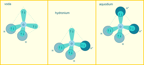 Molekula vody, hydronia a aquodia