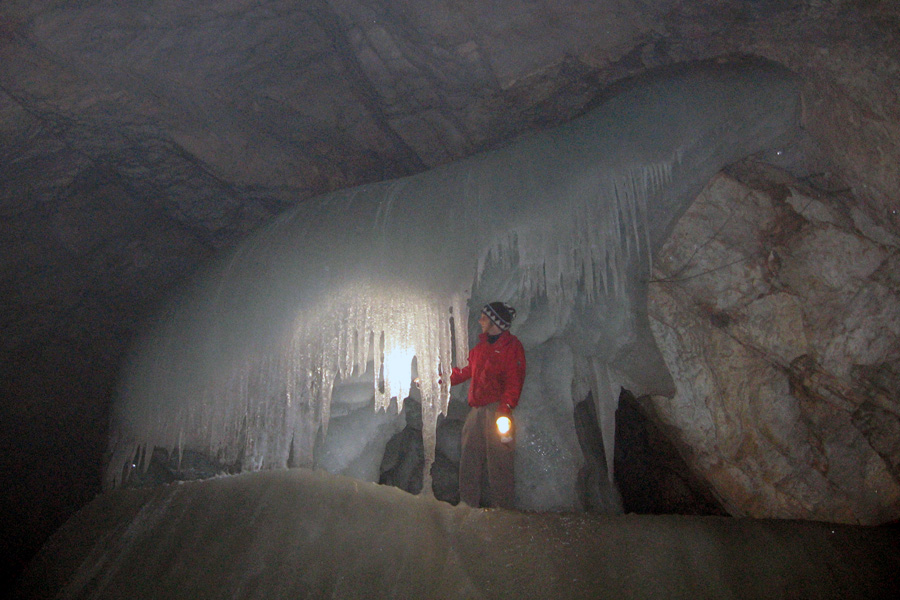 Jeskynn medvd (Eisriesenwelt)